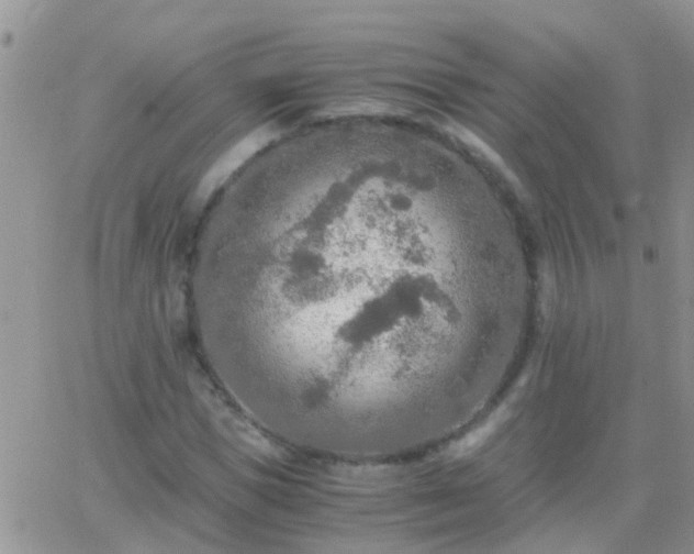 X0000065240921200602242021