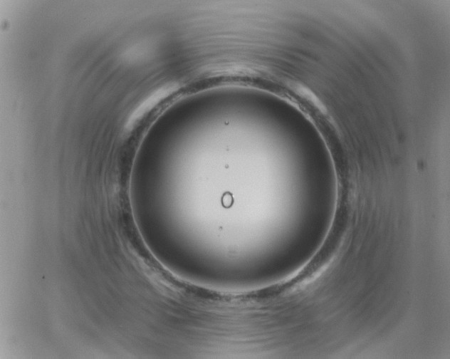 X0000065240922200602242021