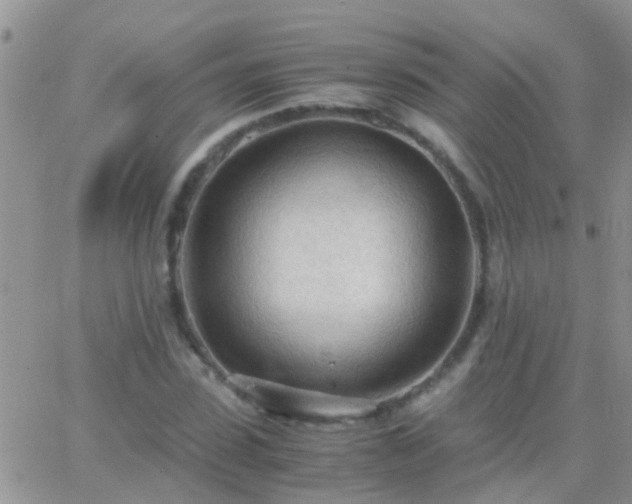 X0000065240923200602242021