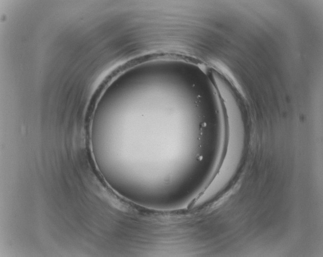 X0000065240924200602242021