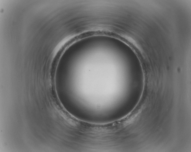 X0000065240927200602242021