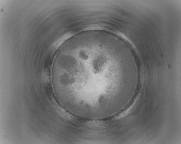 X0000065240929200602242021