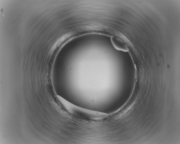 X0000065240930200602242021