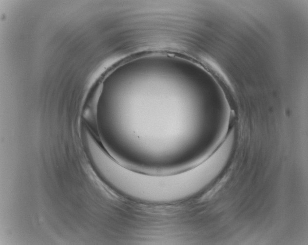 X0000065240932200602242021