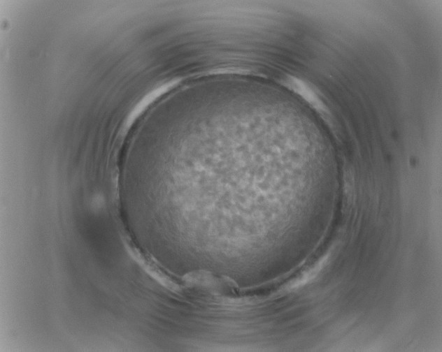 X0000065240933200602242021