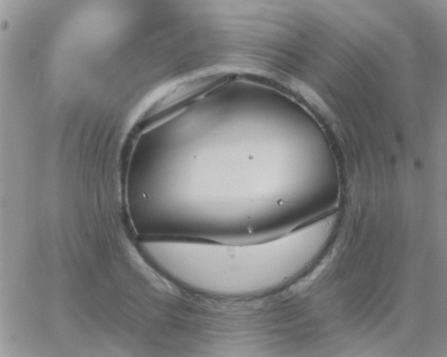 X0000065240934200602242021