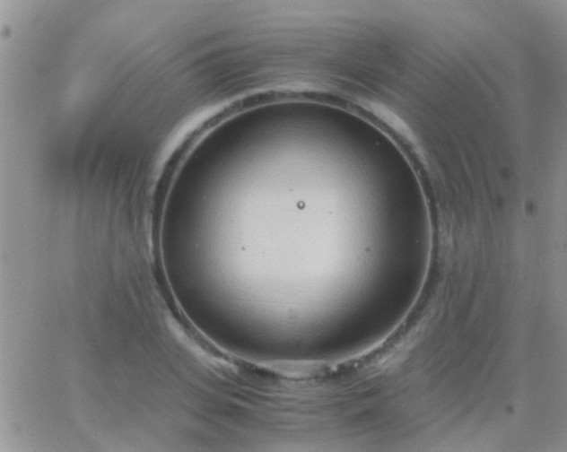 X0000065240935200602242021