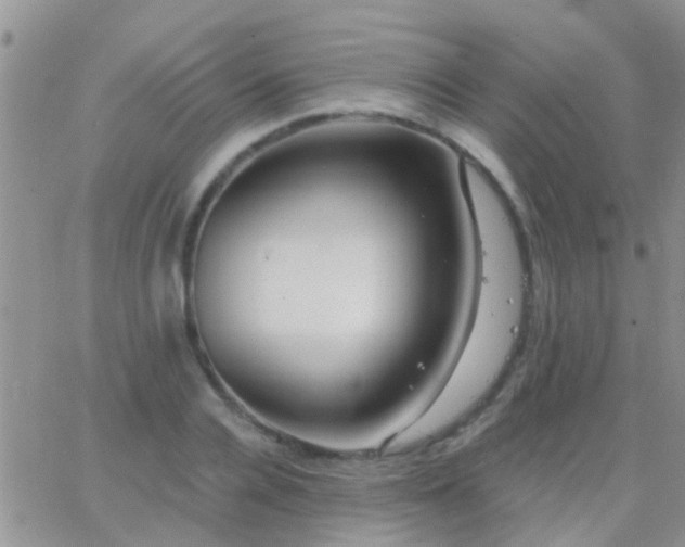 X0000065240936200602242021