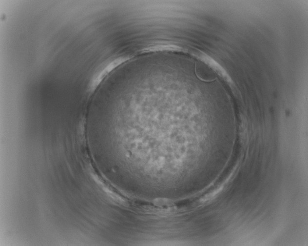 X0000065240937200602242021