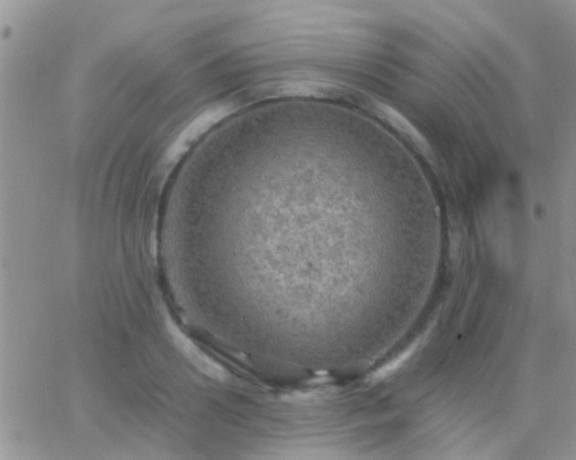 X0000065240938200602242021