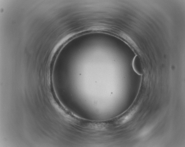 X0000065240939200602242021