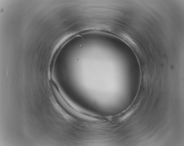 X0000065240940200602242021