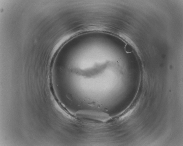 X0000065240941200602242021