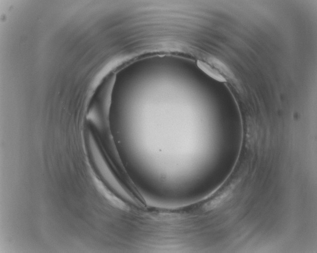 X0000065240942200602242021