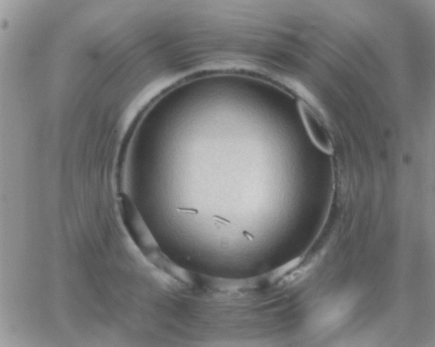 X0000065240943200602242021