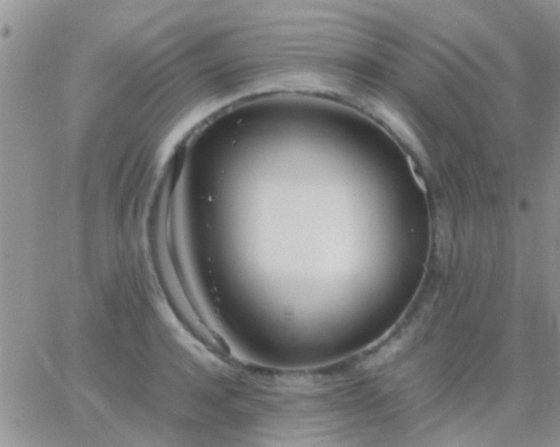 X0000065240944200602242021