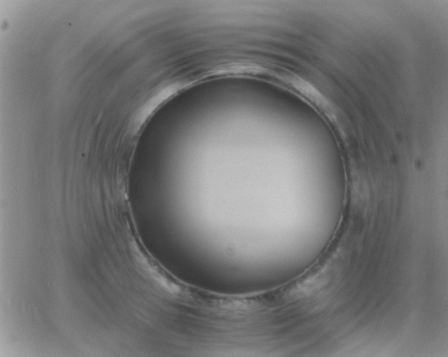 X0000065240945200602242021