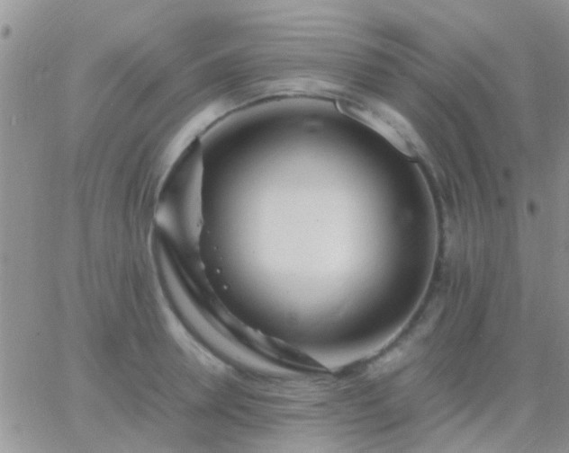 X0000065240946200602242021