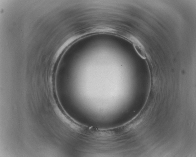 X0000065240947200602242021