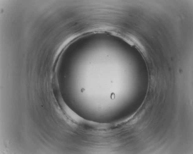 X0000065240948200602242021