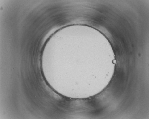 X0000065240950200602242021