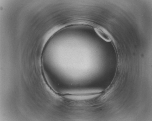 X0000065240951200602242021