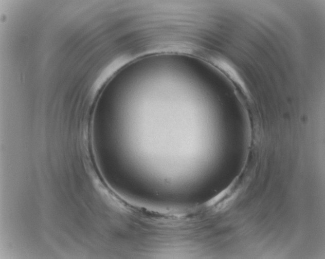 X0000065240952200602242021