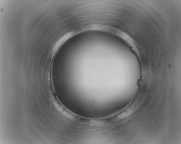 X0000065240954200602242021