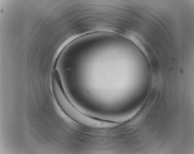 X0000065240955200602242021