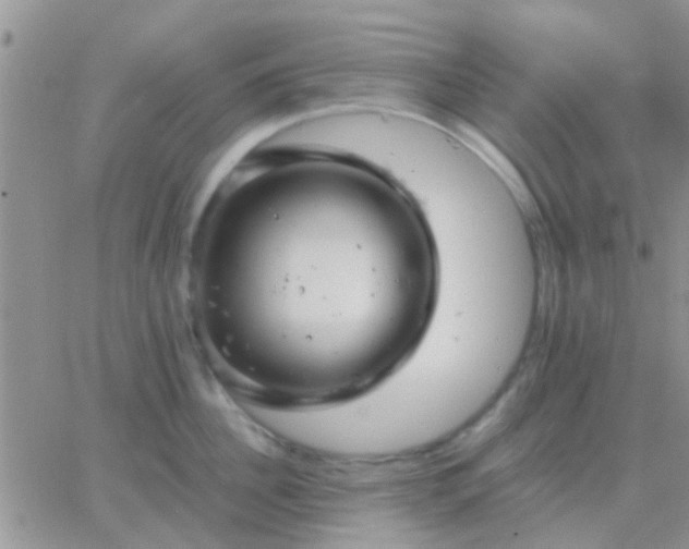 X0000065240956200602242021