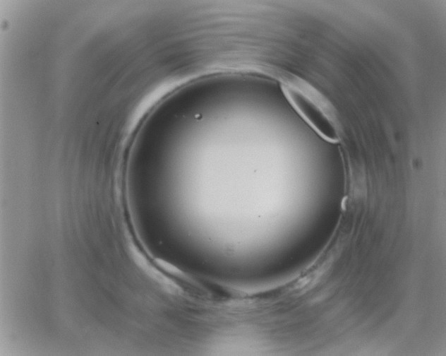 X0000065240958200602242021