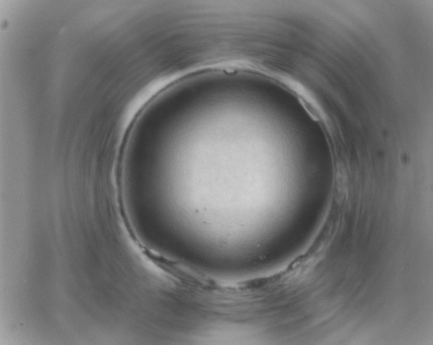 X0000065240959200602242021