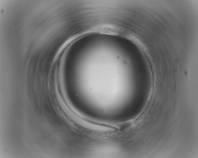 X0000065240960200602242021