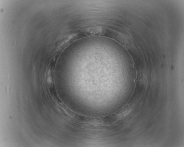 X0000065240962200602242020