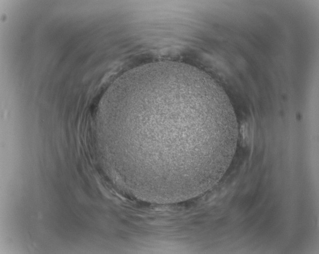 X0000065240963200602242020