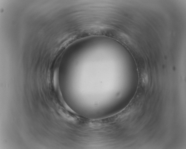 X0000065240964200602242020