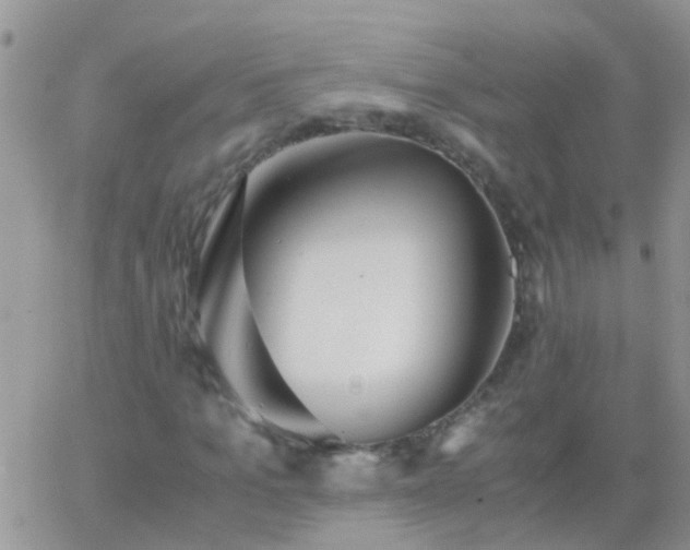 X0000065240965200602242020