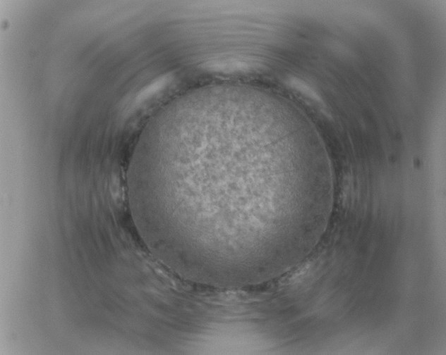 X0000065240966200602242020