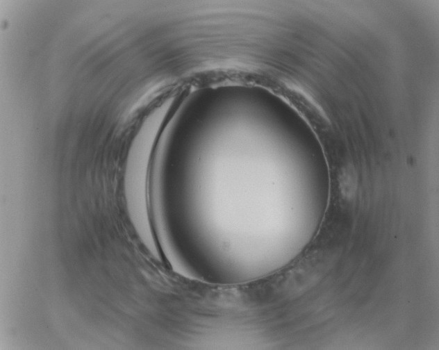 X0000065240968200602242020