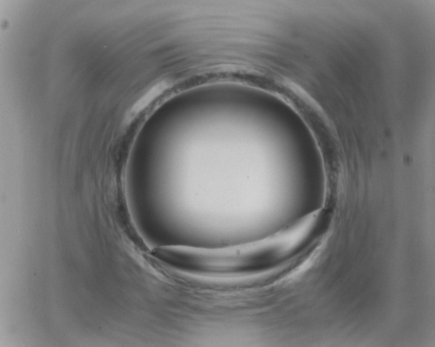 X0000065240969200602242020