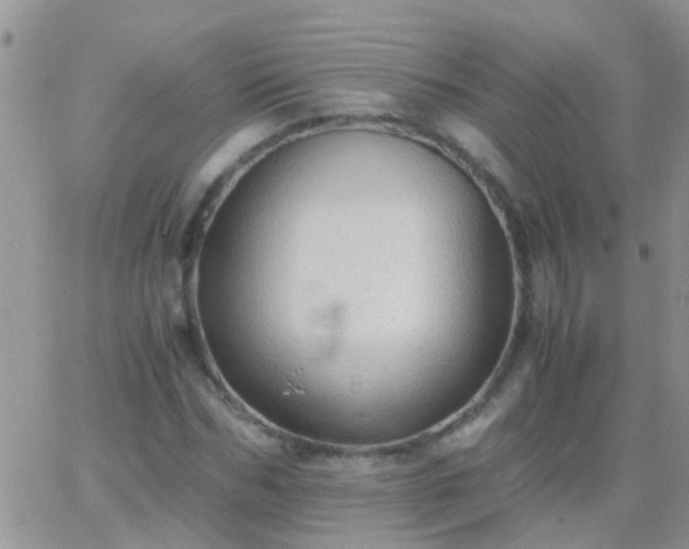 X0000065240970200602242020