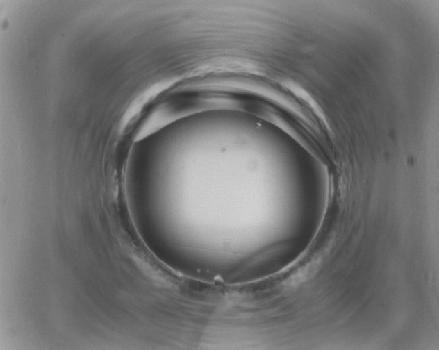 X0000065240973200602242020