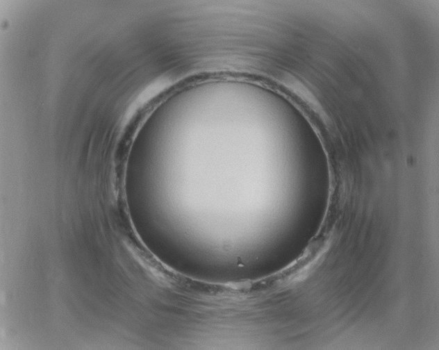 X0000065240974200602242020