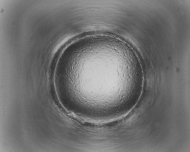 X0000065240975200602242020