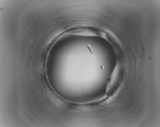 X0000065240977200602242020