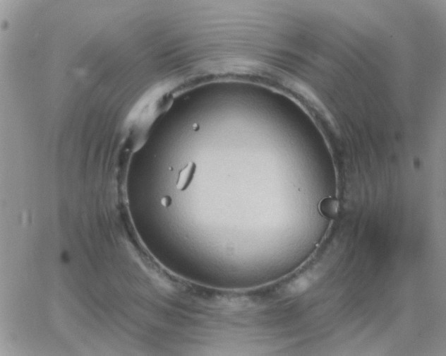 X0000065240978200602242020