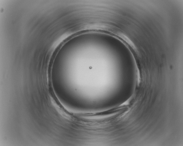 X0000065240980200602242020