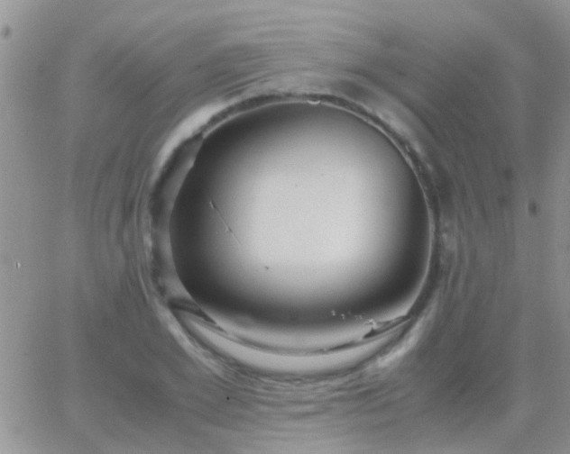 X0000065240981200602242020