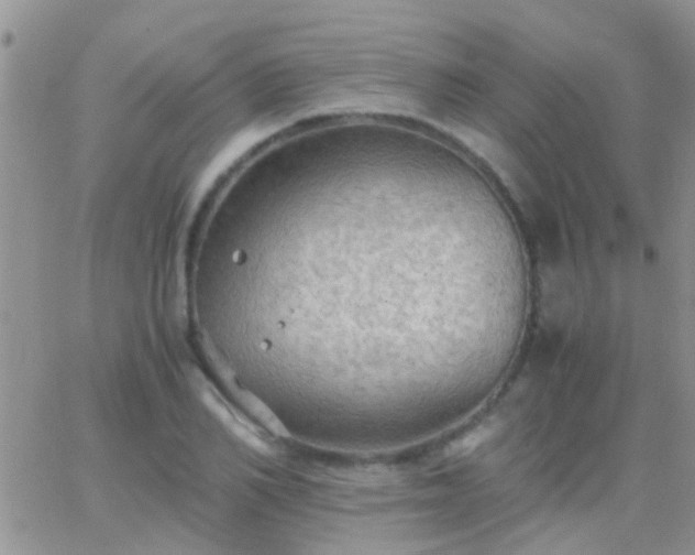 X0000065240982200602242020