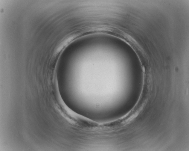 X0000065240985200602242020